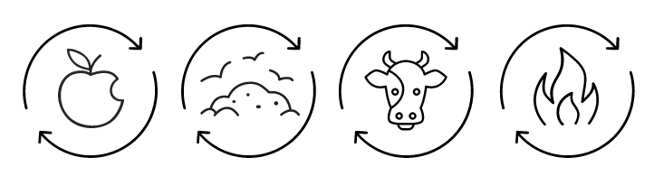 rng process